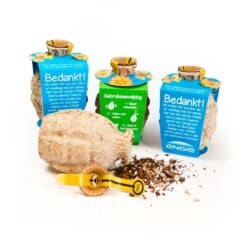 Zaadbommen met Custom Label - Afbeelding 6