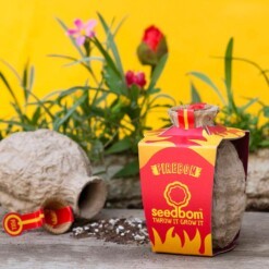 Zaadbom bloemen