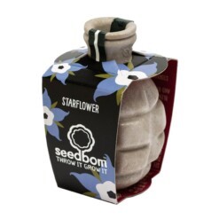 seedbom starflower - zaadbom komkommerkruid