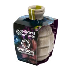 cornflower fairylights - zaadbom koerenbloem mix