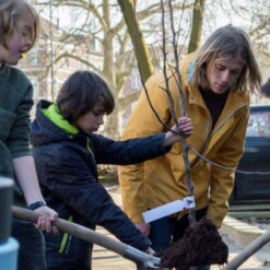 Alternative view of Urban Street Forest