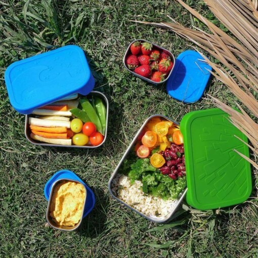 blue water bento eco lunchbox splash box