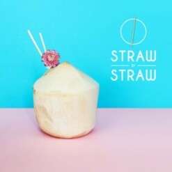 strawbystraw rietjes