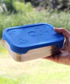 blue water lunchbox