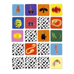 memory spel toffe peren