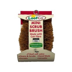 loofco mini scrubber