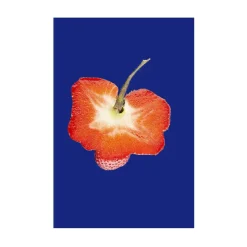 toffe peren aardbei