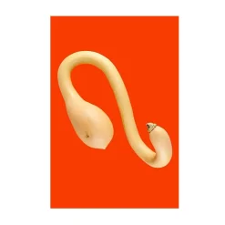 toffe peren flespompoen