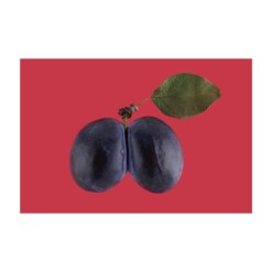 toffe peren peculiar plum