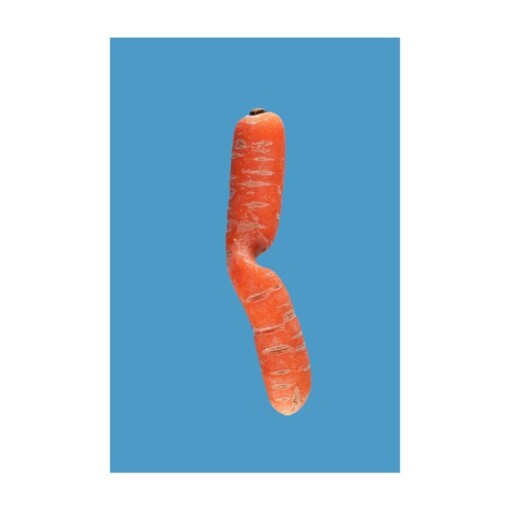 toffe peren extravagant quirky carrot