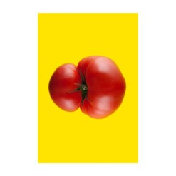 toffe peren extravagant total tomato
