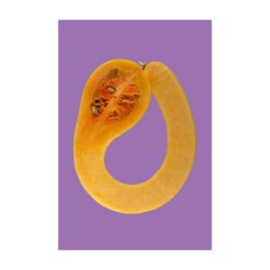 toffe peren beautiful butternutsquash