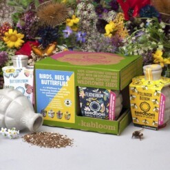 Seedbom Bees Birds Butterflies