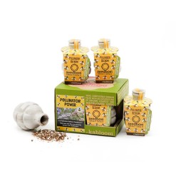 seedbom giftbox bijen