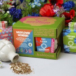 Wildwonder seedbom giftbox