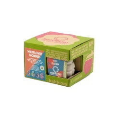 zaadbom giftbox wildflower wonders