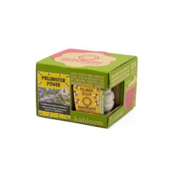 seedbom giftbox pollinator power