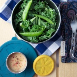 blue water bento seal cup mini