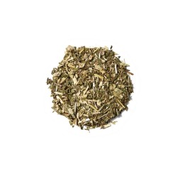 Holy Smoky Wilderland Thee