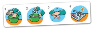 maak je eigen zaadbommen kit