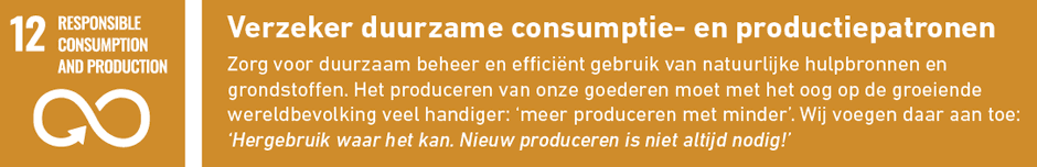 sdg 12 sustainable consumption