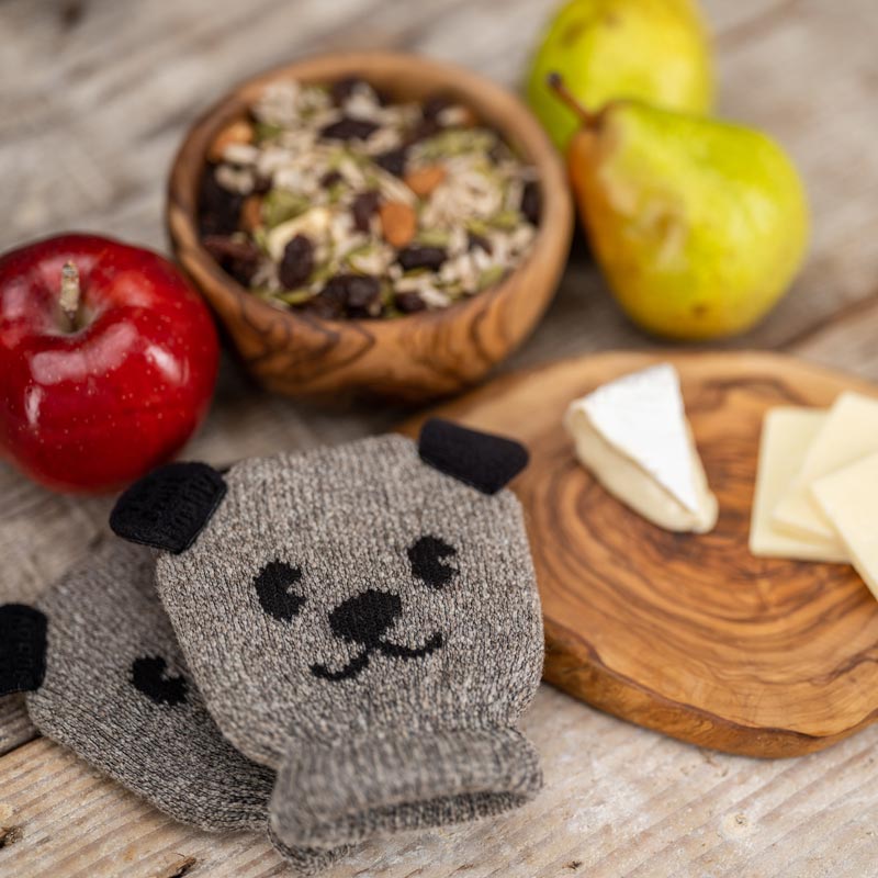 the fruit buddy