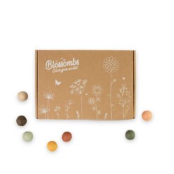blossombs giftbox small