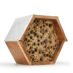 insecten en bijenhotel