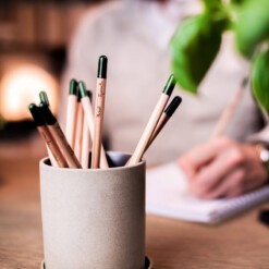sprout grow pencils