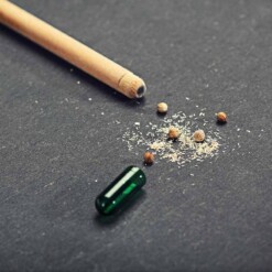 sprout bloeipotlood zaden