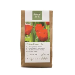 Biologische bloembollen tulp escape