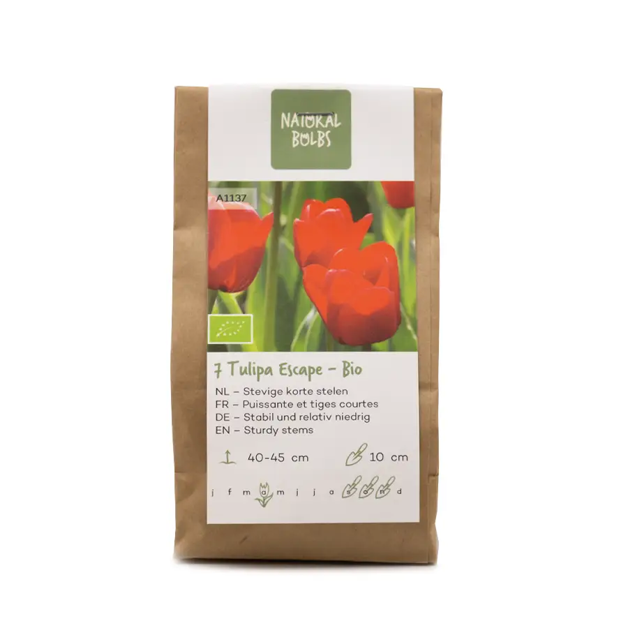 Biologische bloembollen tulp escape