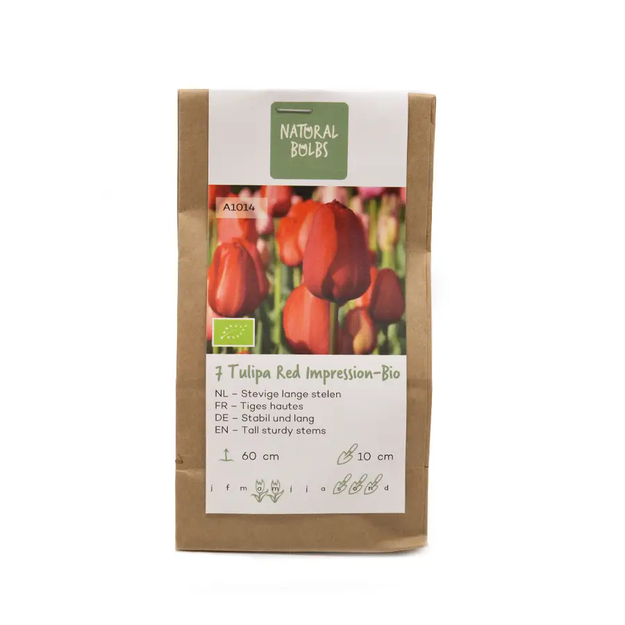 Biologische bloembollen tulp red impression
