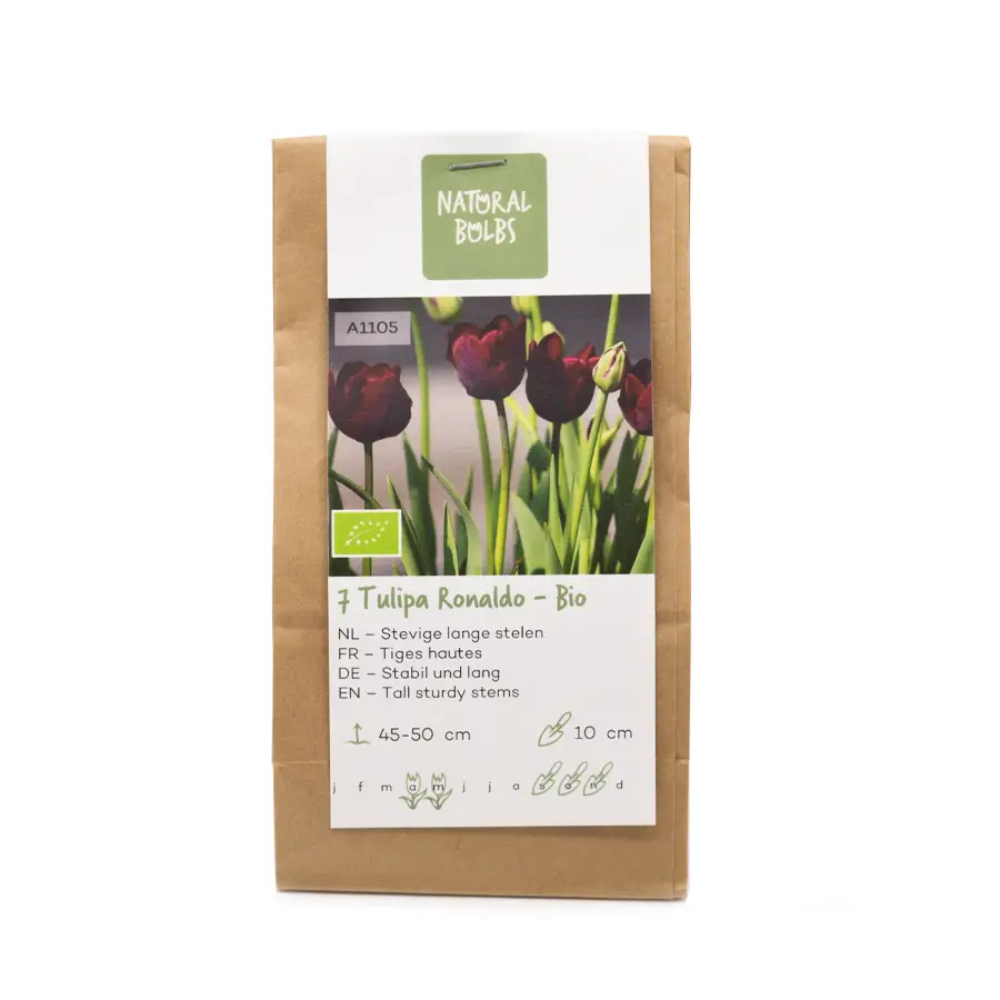 Biologische bloembollen tulp ronaldo