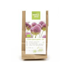 Natural-bulbs-biologische-bloembollen-allium-klein
