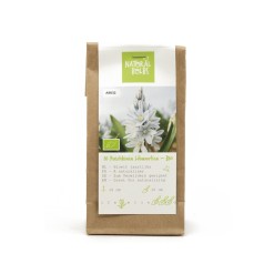 Natural-bulbs-biologische-bloembollen-hyacint