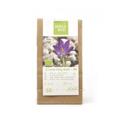 Natural-bulbs-biologische-bloembollen-krokus