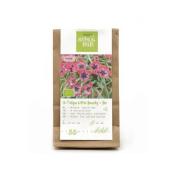 Natural-bulbs-biologische-bloembollen-tulp