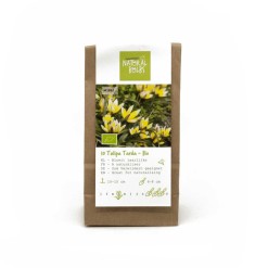 Natural bulbs biologische bloembollen tulp tarda
