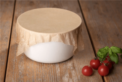 Compostella-4-1-papier