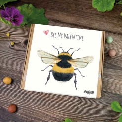 blossombs-giftbox-bee-my-valentine