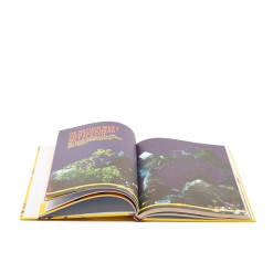 Dit-was-de-plastic-tijd-boek