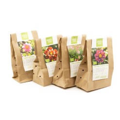 Natural-bulbs-biologische-dahlia