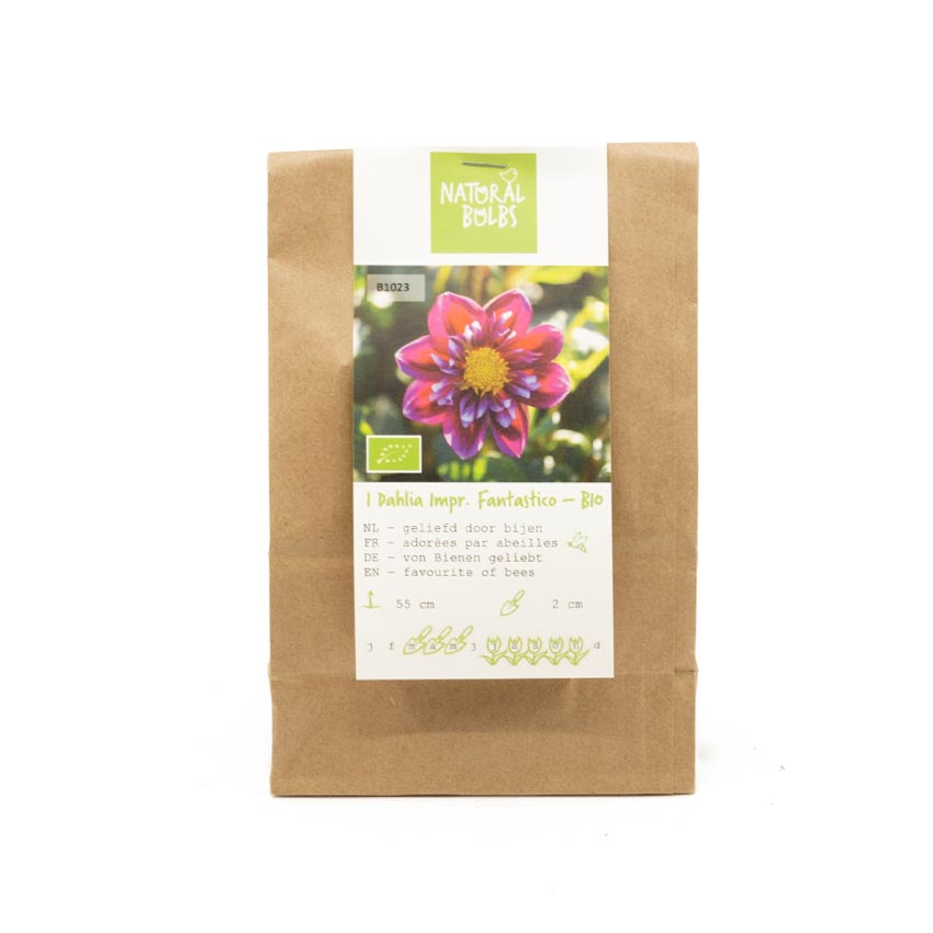 Natural-bulbs-biologische-dahlia-fantastico