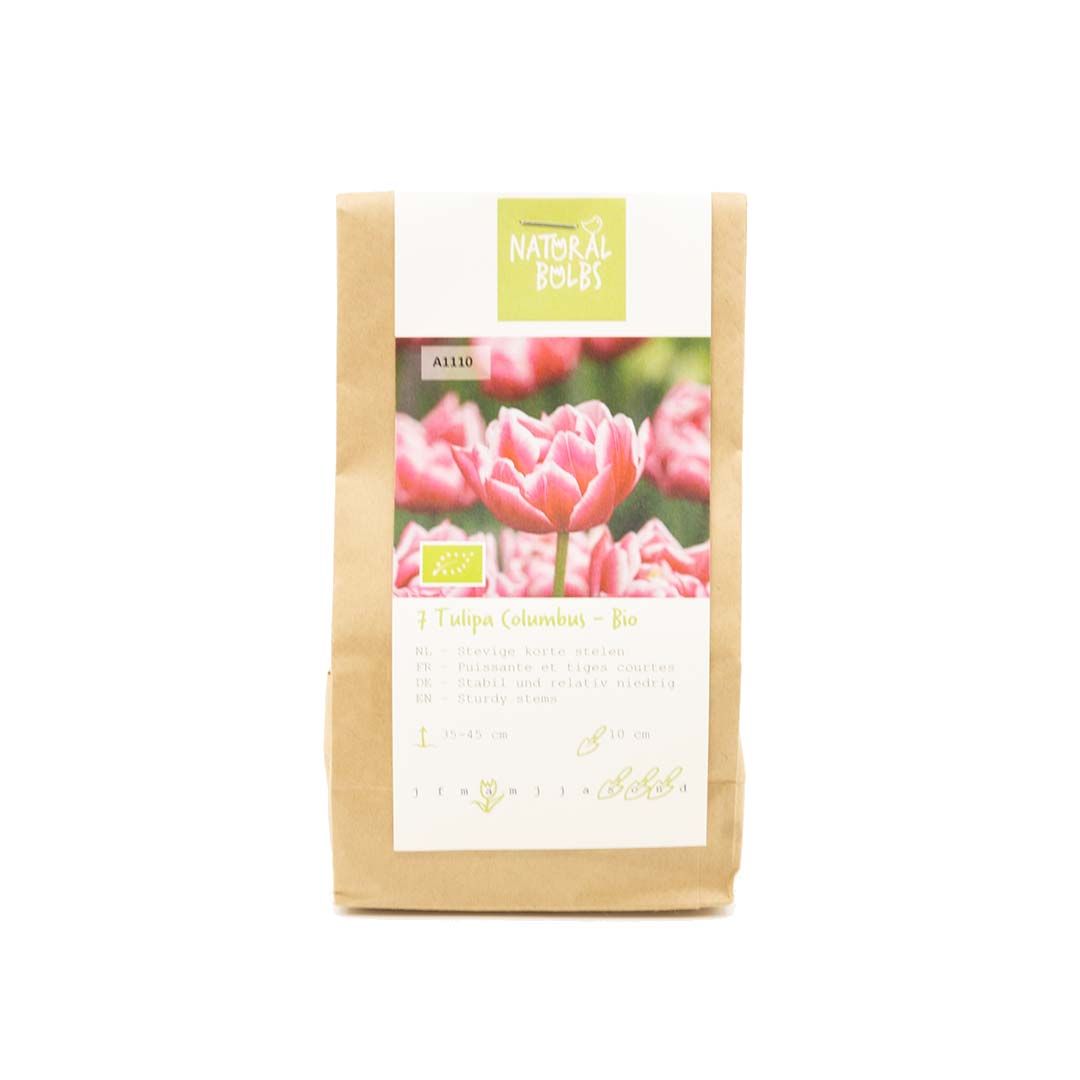Tulp Columbus