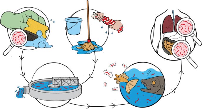 microplastic