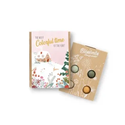 blossombs giftbox small xmas winter landscape