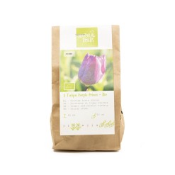 Biologische-bloembollen-tulp-purple