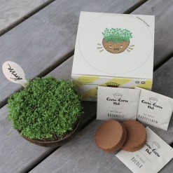 Grow-Grow-Nut-Kiemset-kiemzaden