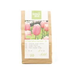 Natural-bulbs-biologische-bloembollen-tulp-salmon